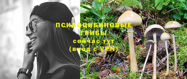 ГАЛЛЮЦИНОГЕННЫЕ ГРИБЫ Богданович
