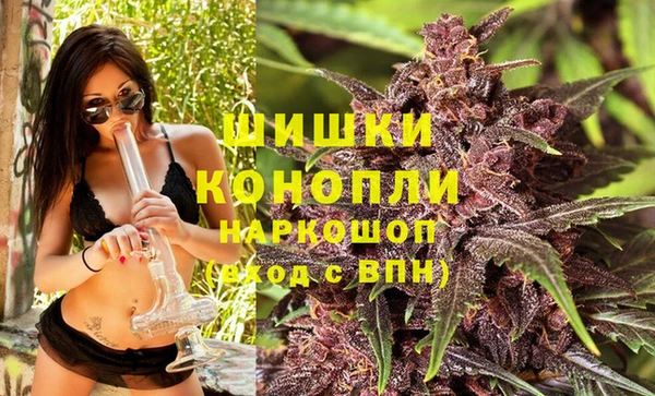 амф Верея